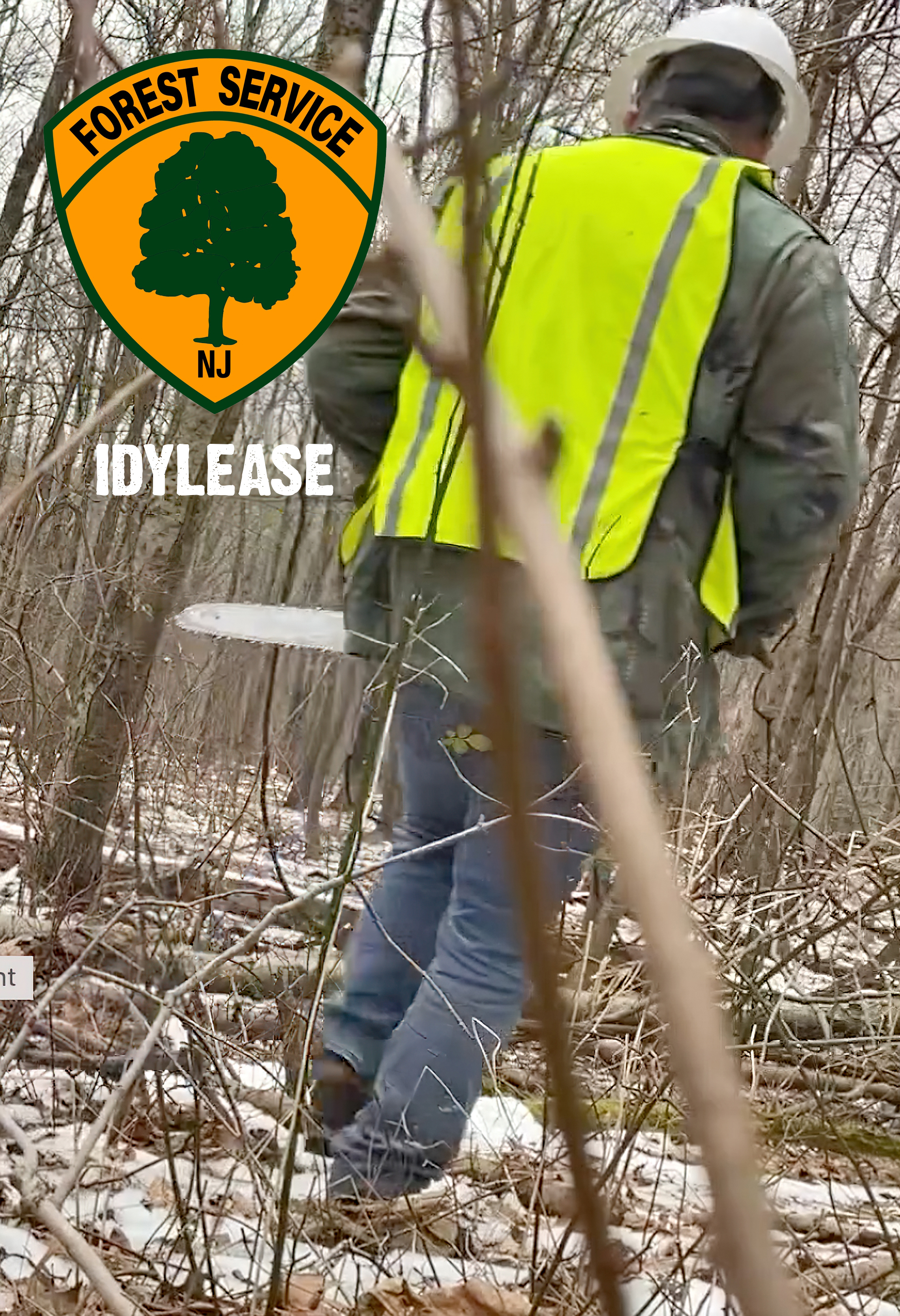 Richard Zampella cutting trees at Idylease